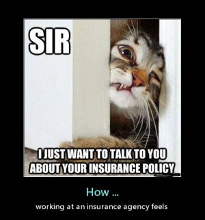 Need an insurance agent in the digital world