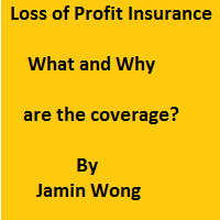 Loss of Profit Insurance What and why are the coverage?