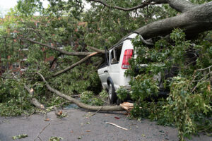 8 tips for claiming fallen tree damage to home